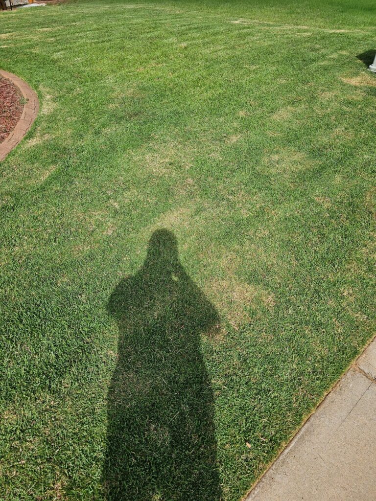 Need help with lawn this year zoysia/bermuda Need help with lawn this year zoysia/bermuda