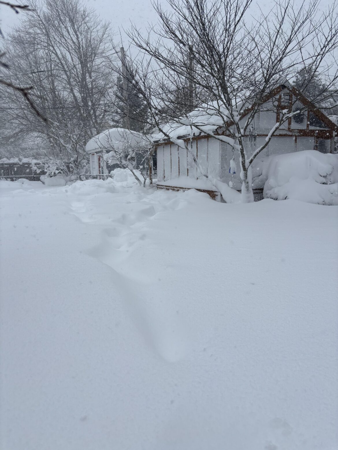 My Bellerose XL survived the blizzard (so far)