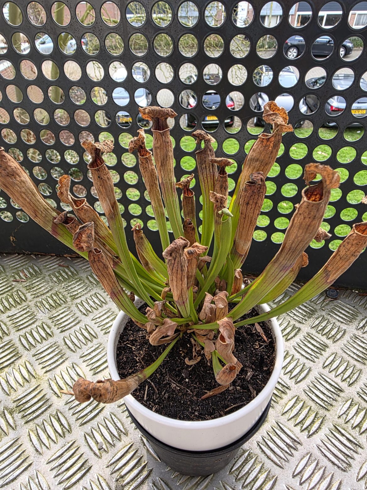 Should I continue leaving this outside?