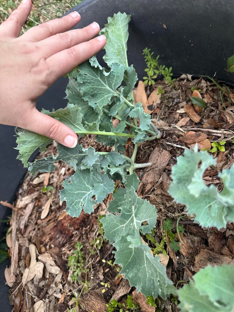 What is this?