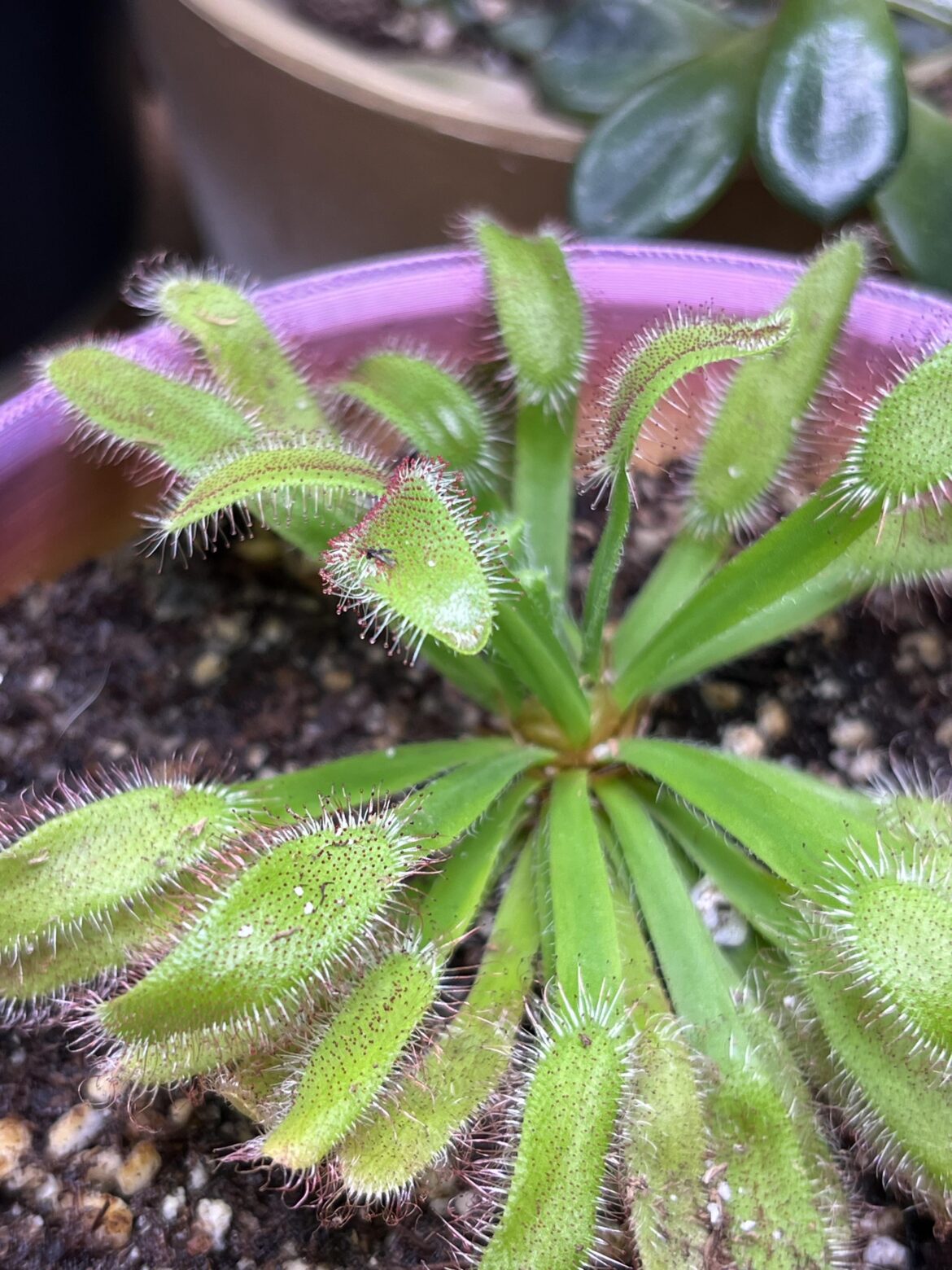 It’s dewing it!! ❤️