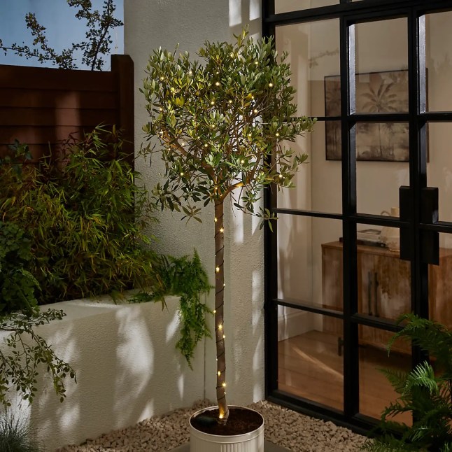 Tree with small lights around