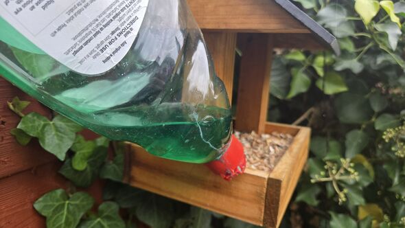 washing up liquid on a bird table
