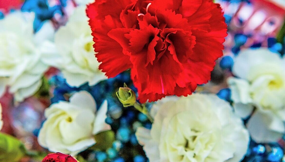 Medina County home and garden show Feb. 28–March 1 features 250th anniversary tribute