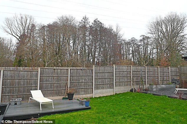 Residents of the luxury estate are worried that if the trees are cut down their less well-off neighbours will be able to peer into their homes