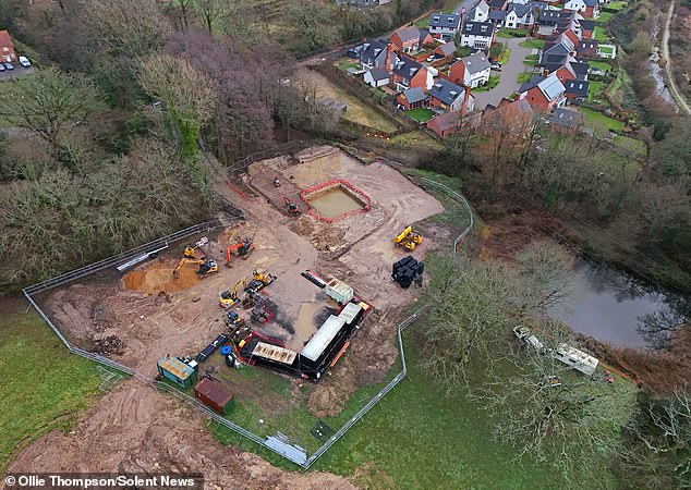 Resident Mr Richardson said 'You have to draw the line somewhere. Ripping out the trees is unnecessary.'