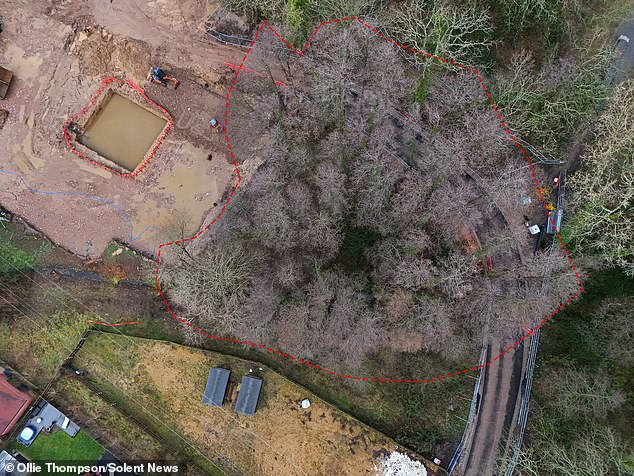 12 trees have been earmarked for felling by developers Stratland Homes but it has been met with outcry from residents and the council