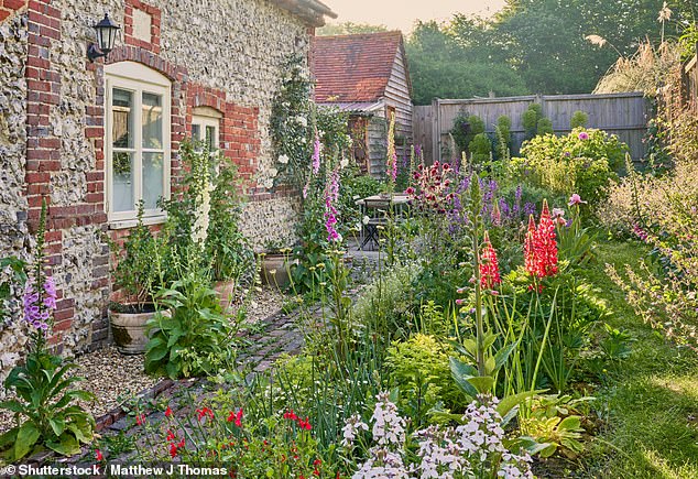 It may feel like the UK is still in the depths of winter, with temperatures seldom reaching double digits; however, now is the time to start pruning, planting and prepping your yard