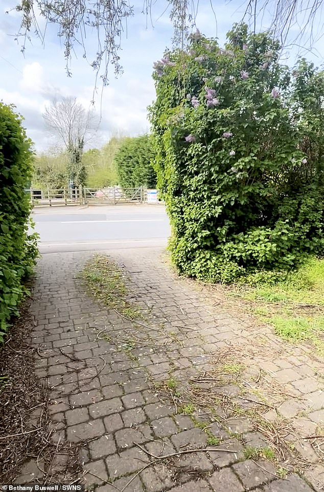 The house was previously bordered by a 16ft-high hedge