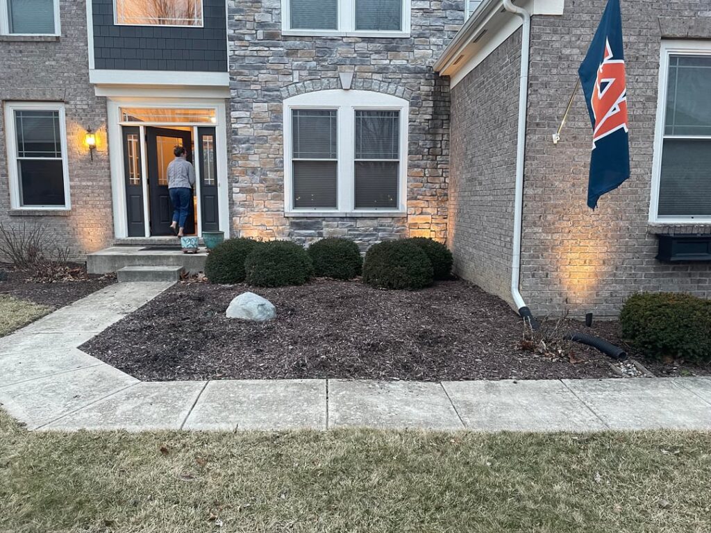 Seeking Plant Recommendations for our Front Yard Dirt Patch Seeking Plant Recommendations for our Front Yard Dirt Patch