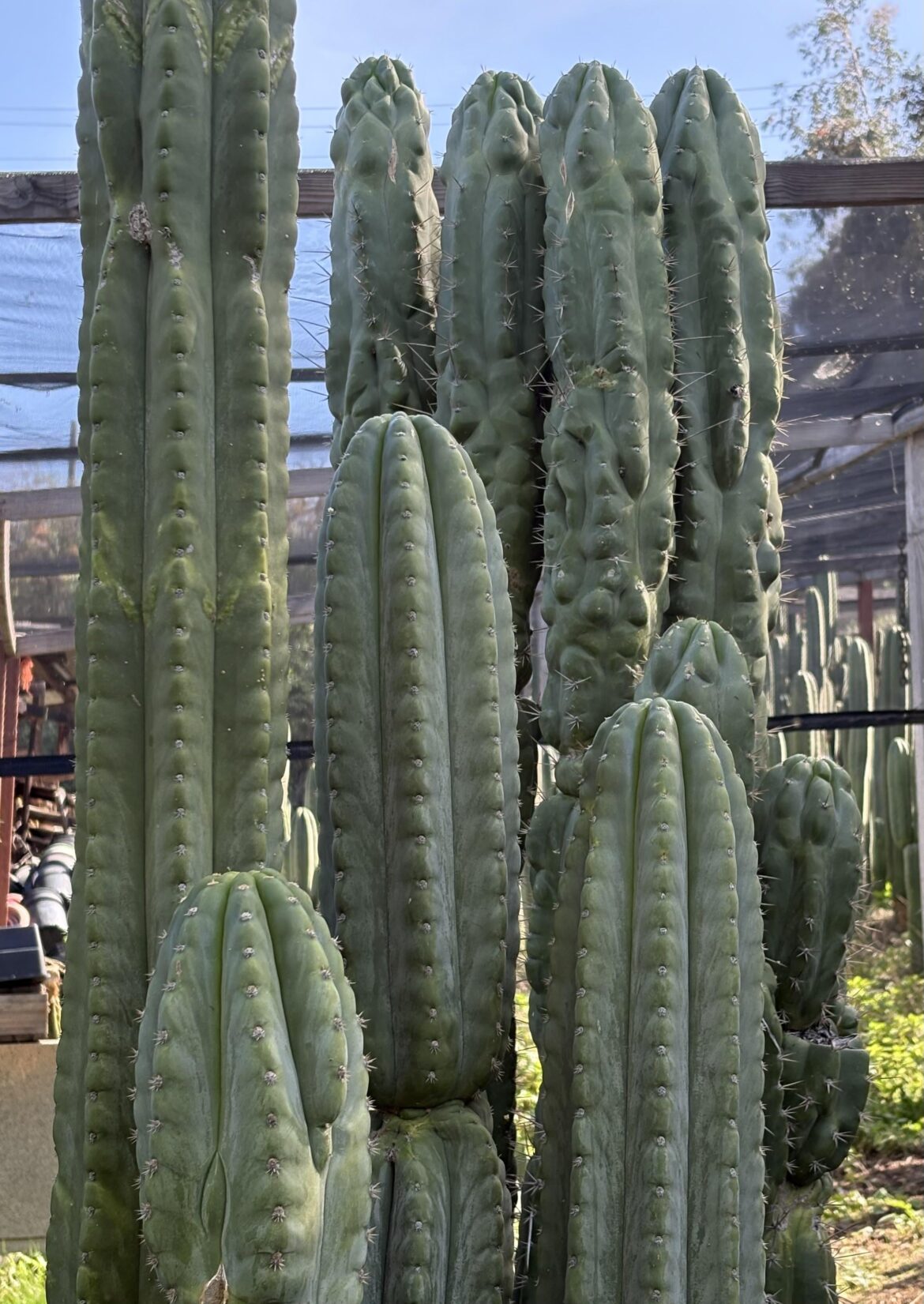 Enjoy your Sunday…