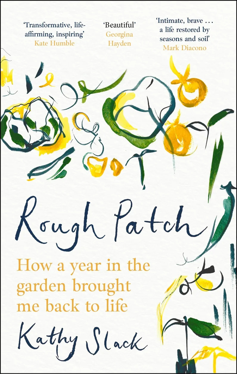 Book jacket of Rough Patch by Kathy Slack (Robinson/PA)