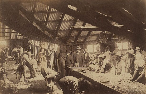 An iconic image of a 19th century wool shed in operation from Charless Bayliss' Pulletop collection. 