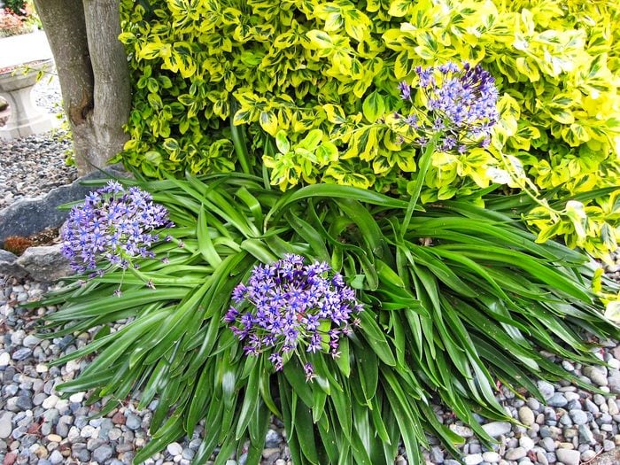 14 Terrymartin Bbxmay18