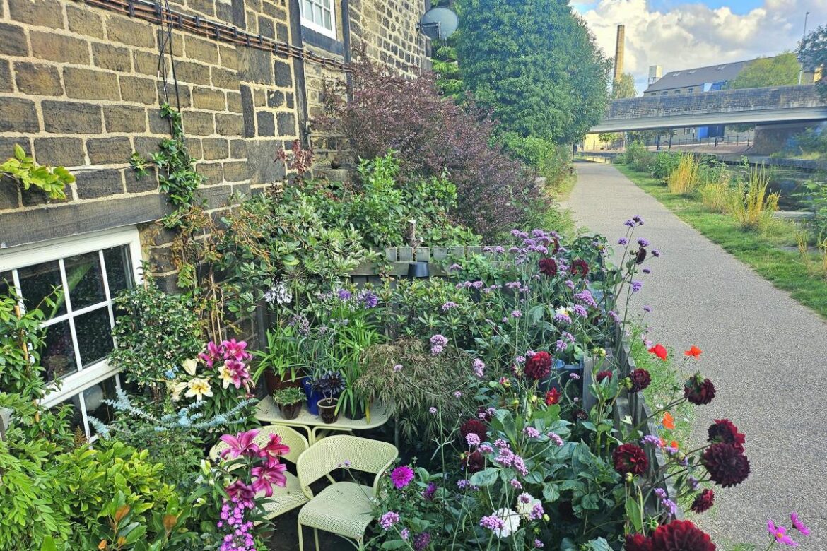 'Go Bradford' - Small garden on canal voted best in national competition