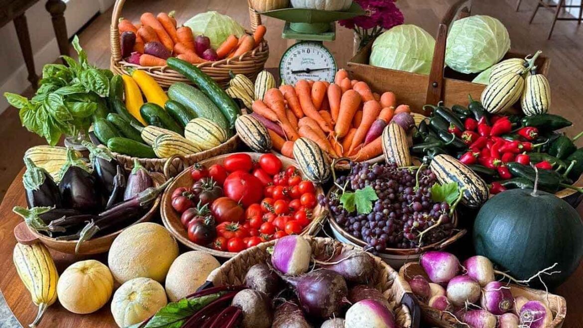 Best Summer Vegetables To Plant Now