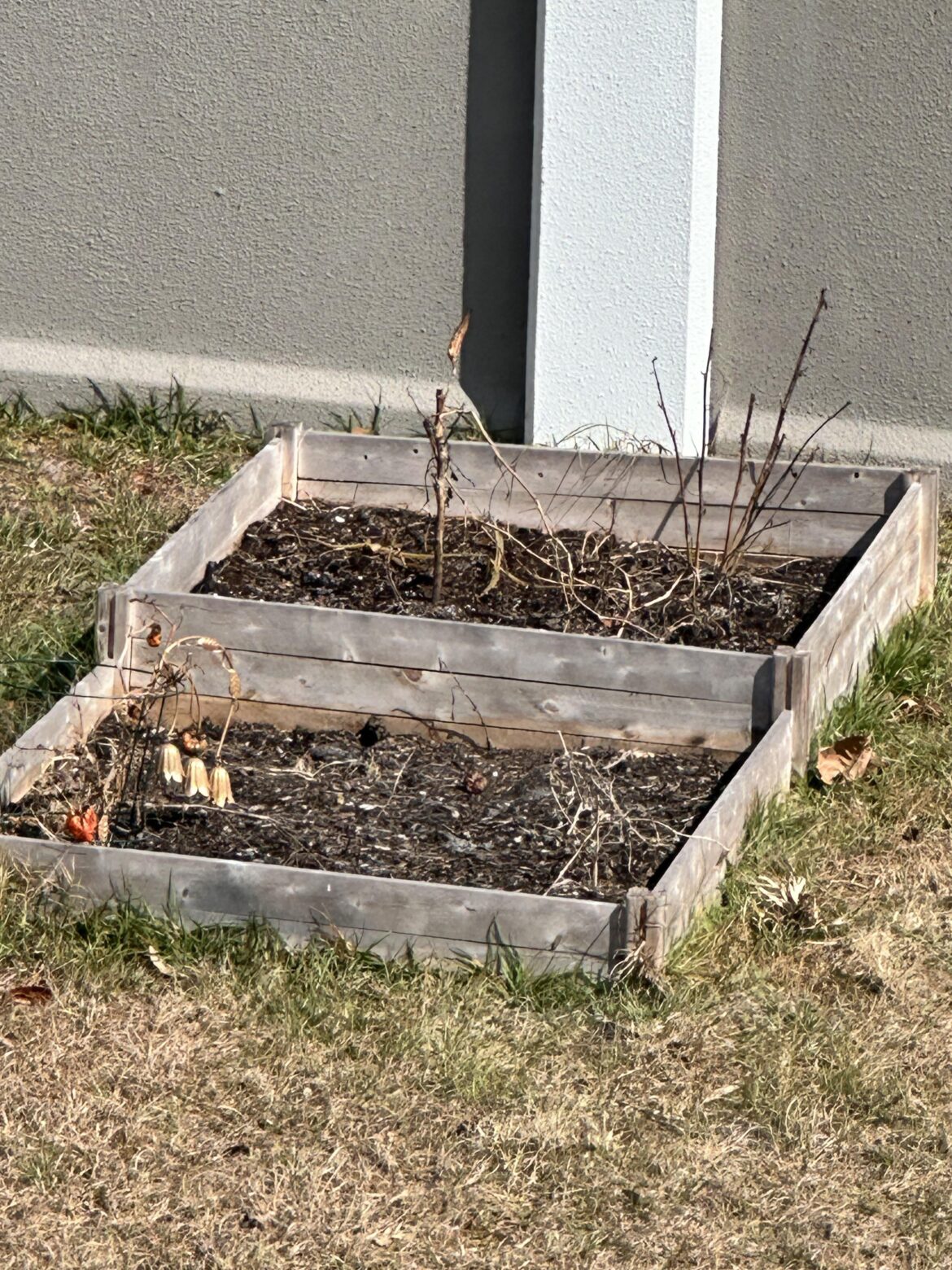 Central Florida gardeners… how are you actually growing vegetables successfully?