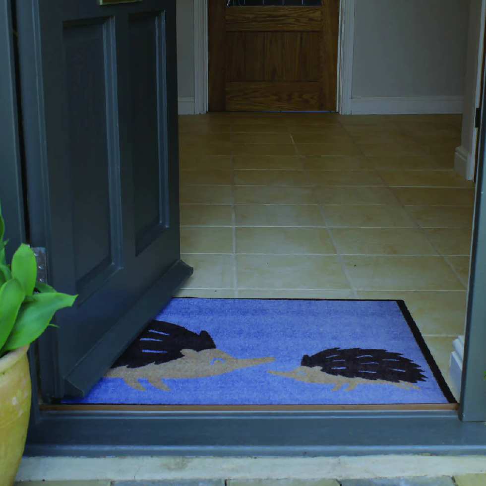 Hoggy Hedgehog Recycled Doormat with Dark Brown Border