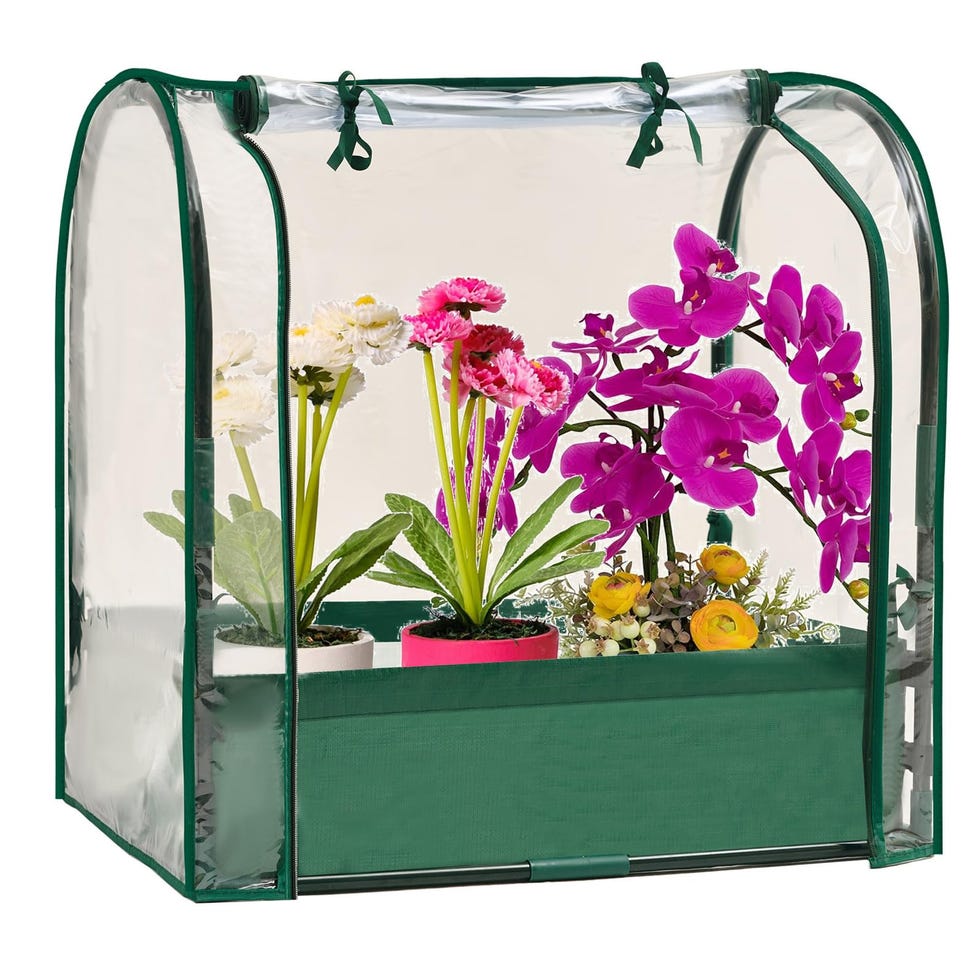 Mini Tabletop Greenhouse Nursery