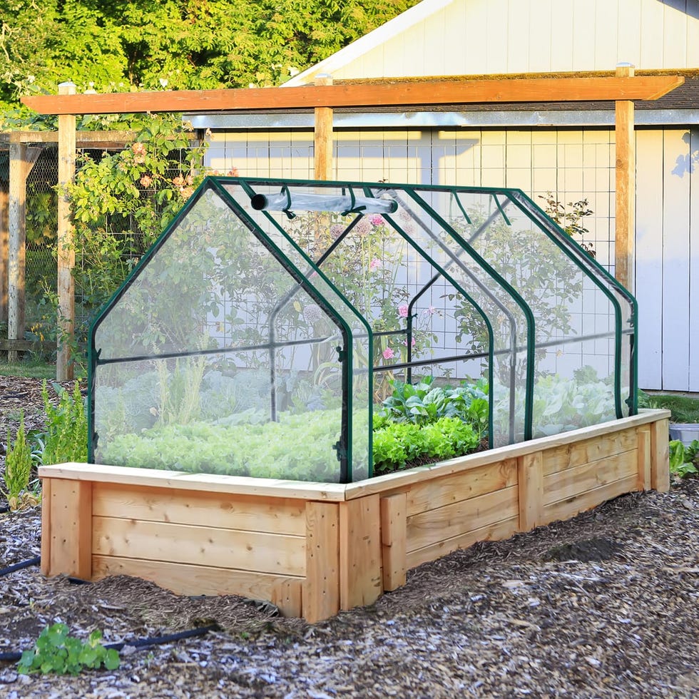 Portable Mini Greenhouse