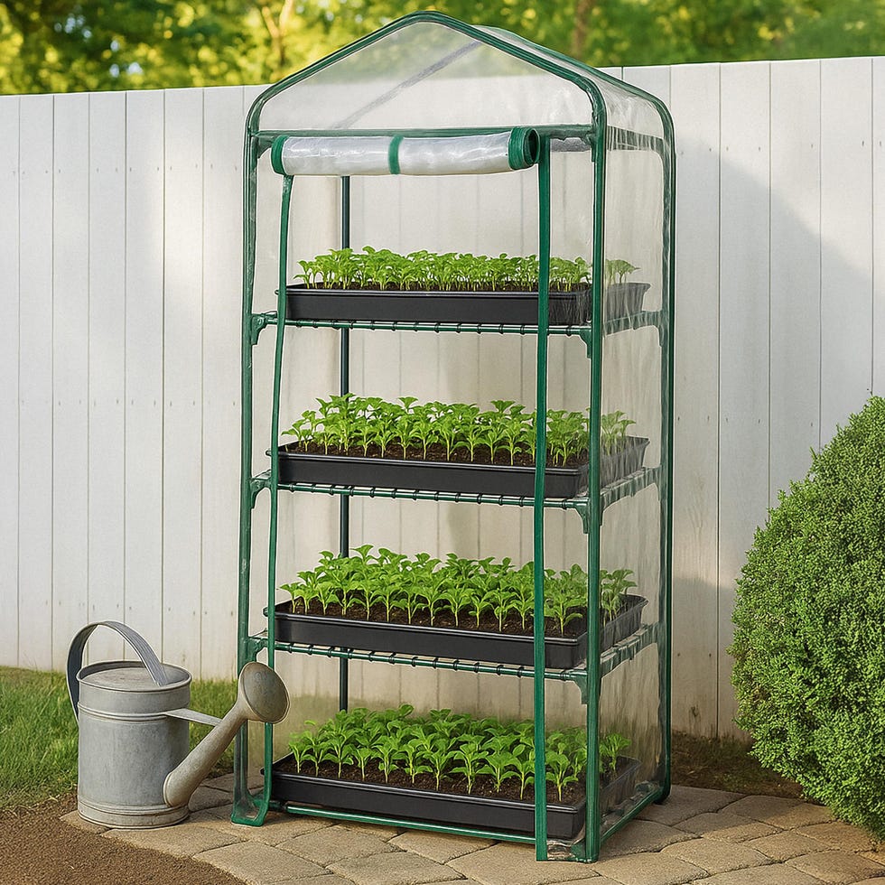 4-Tier Mini Greenhouse