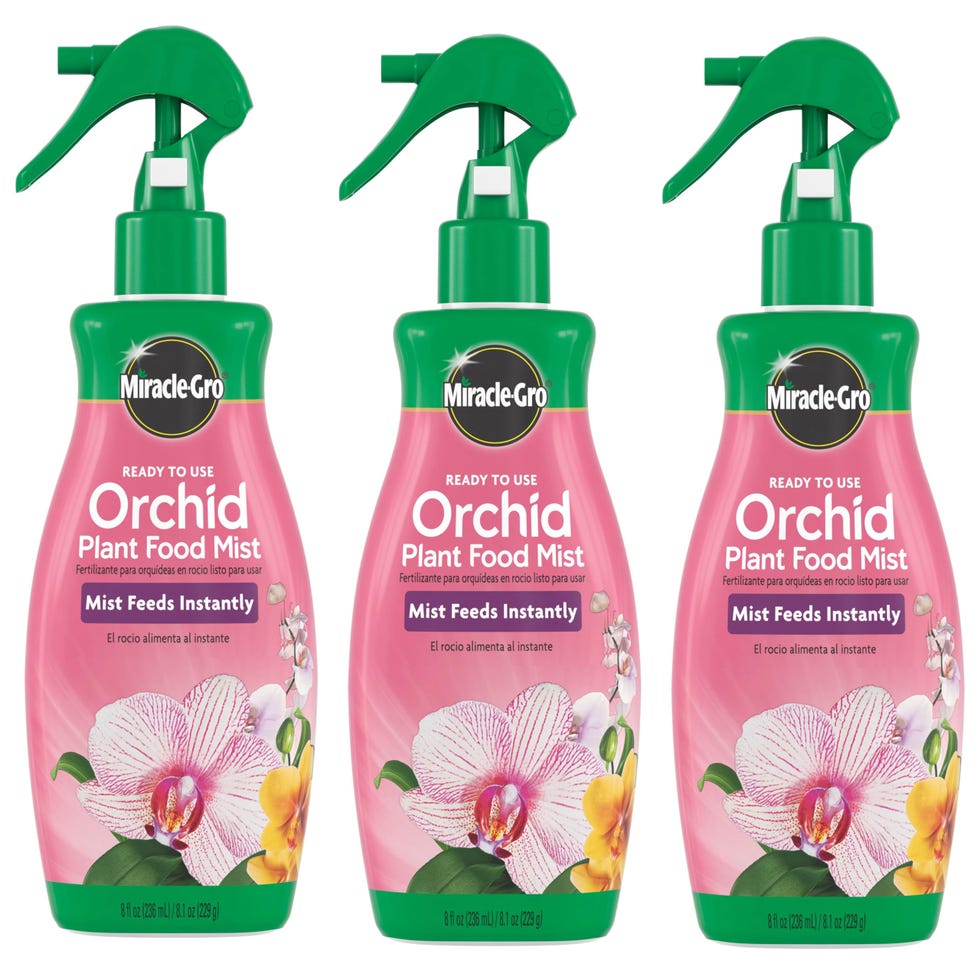 Orchid Plant Food Mist