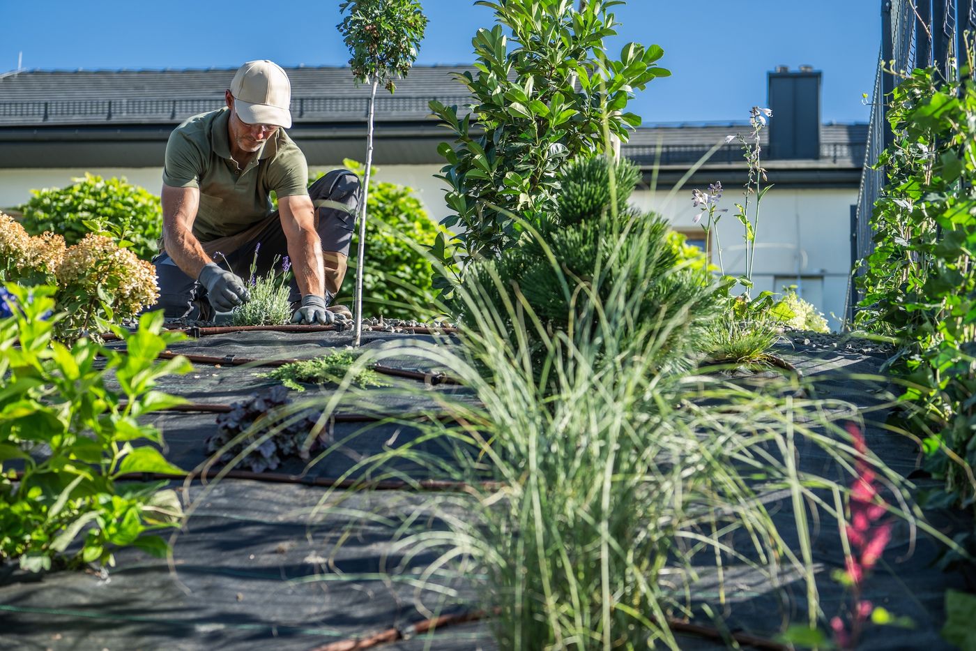 home landscaping companies toronto