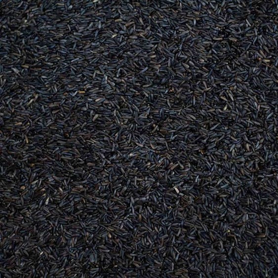 Niger Seed Niger Seed