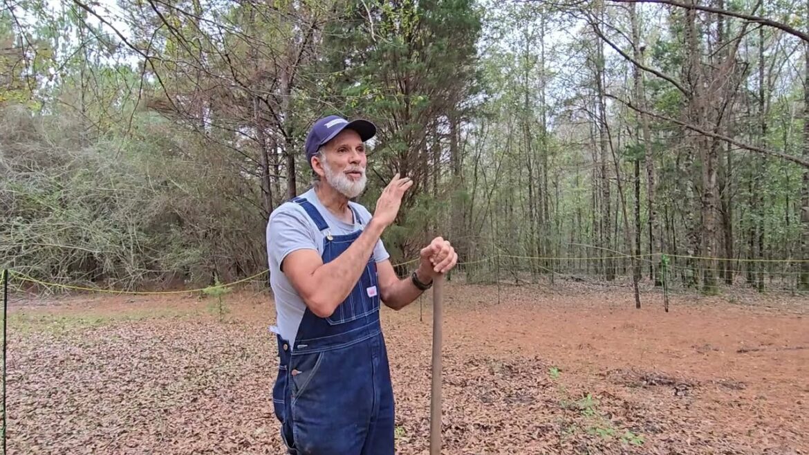 An ART that Doesn't EXIST Anymore!  Know Your Wild Edibles