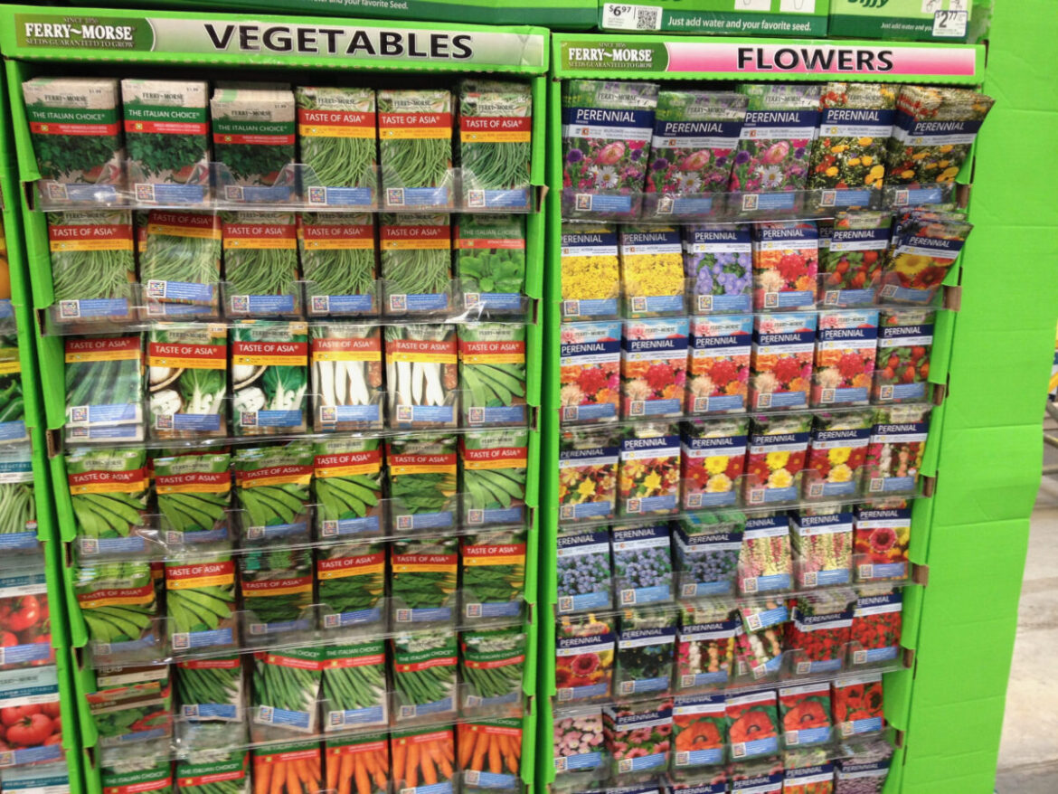 Garden Help Desk: Consider the local growing season when choosing plant varieties for this summer’s garden | News, Sports, Jobs Garden Help Desk: Consider the local growing season when choosing plant varieties for this summer’s garden | News, Sports, Jobs