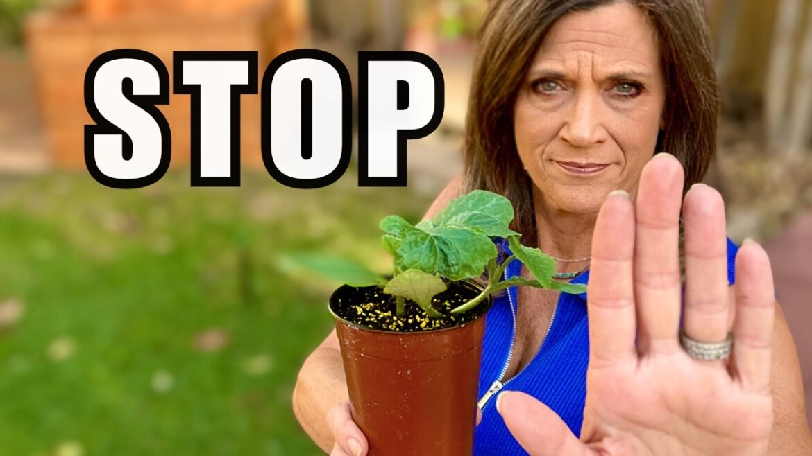 CaliKim: Stop This Before Your Spring Garden Falls Behind Stop This Before Your Spring Garden Falls Behind