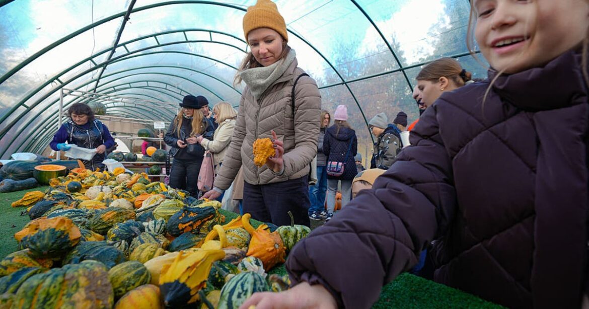 Texas gardening 2026: Best planting times for Dallas, Austin, and Houston Texas gardening 2026: Best planting times for Dallas, Austin, and Houston