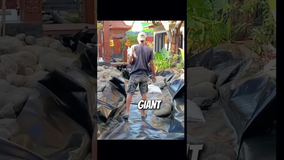 How to Build a River in Your Backyard with 200$ 🌊 #river #diy #process #shorts