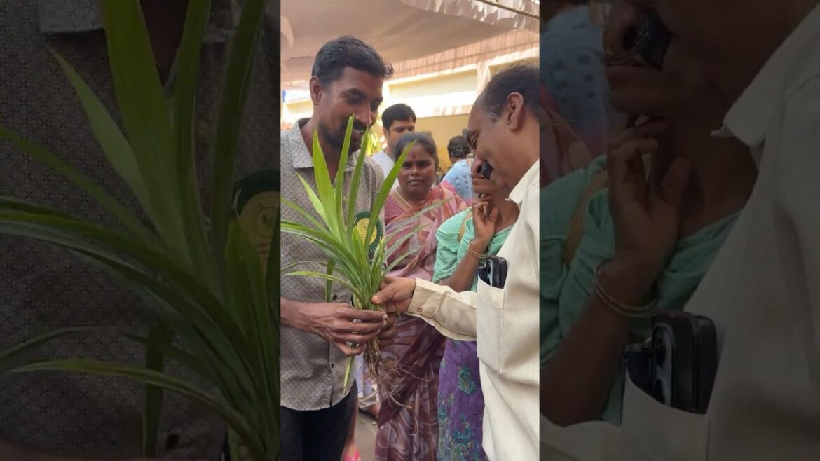 Welcome, Britto Raj Sir, Chennai vegetable festival #shortvideo #Gardening, #youtuber ￼