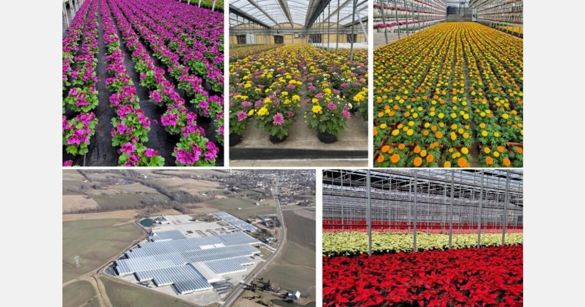 Hoffmann acquires majority interest in Smith Gardens Hoffmann acquires majority interest in Smith Gardens