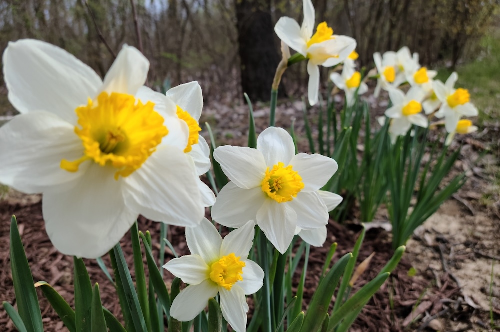 Garden Mill going out of business Garden Mill going out of business