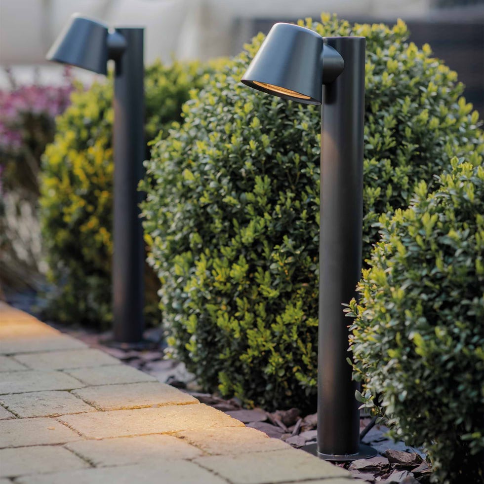 Regent Mast Path Light Carbon