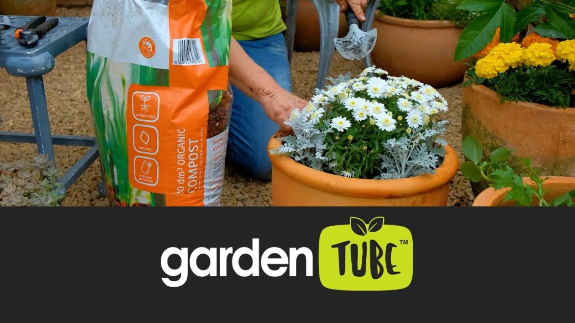 5 tips for container gardening
