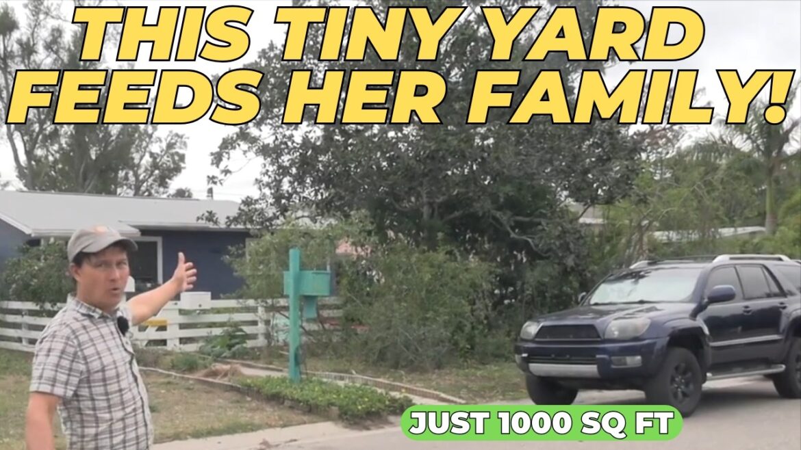 Self-Sufficient Mom Grows 80% of Family’s Fresh Food in a Tiny Yard