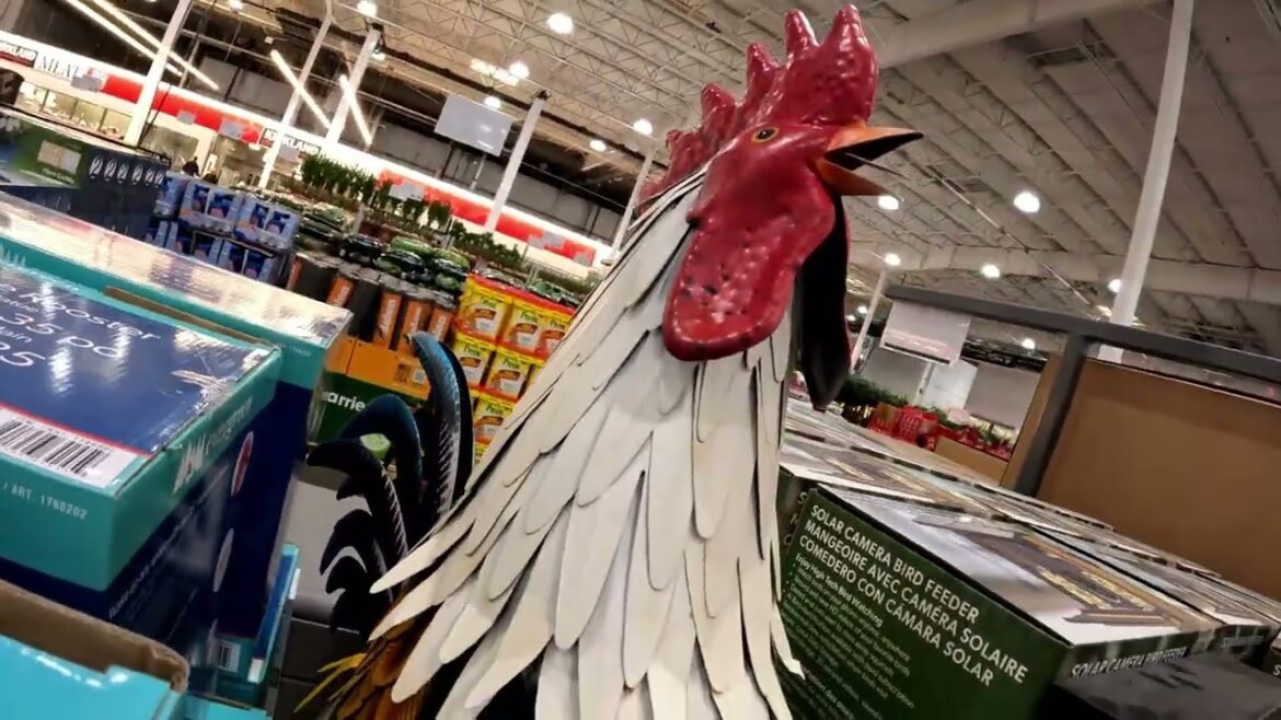 MUST SEE - COSTCO 2026 GARDEN CENTER DEALS #shopping #costco #garden