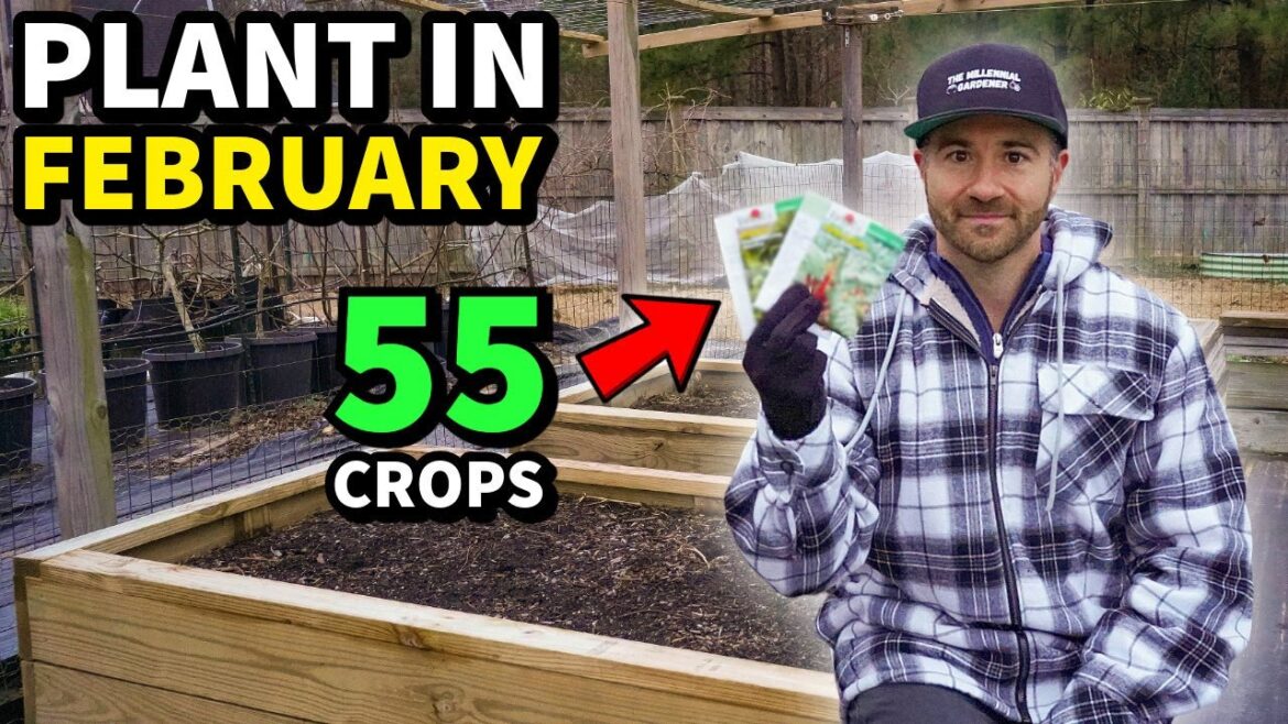 IT'S TIME! Plant These 55 Crops In FEBRUARY NOW!