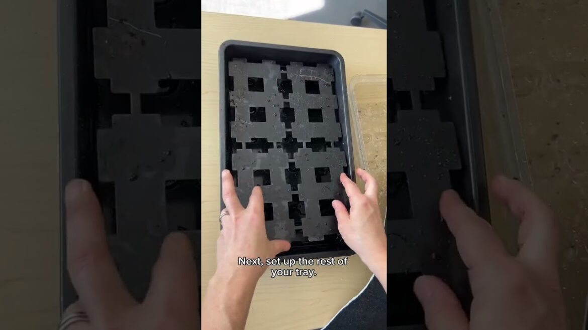 How to Start Your Seeds | Gardener's Supply