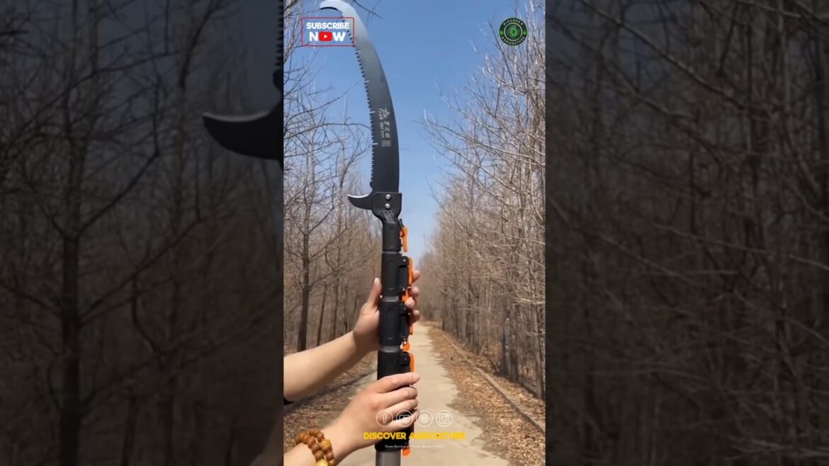 Telescopic Pruning Pole Saw Telescopic Pruning Pole Saw