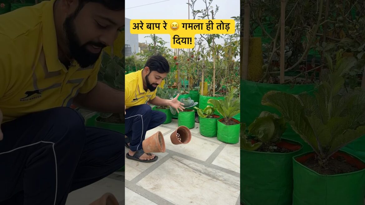 Mitti ya Plastic Pot? 🌱 Kaunsa Best Hai Gardening Ke Liye? | #aasanbagwani
