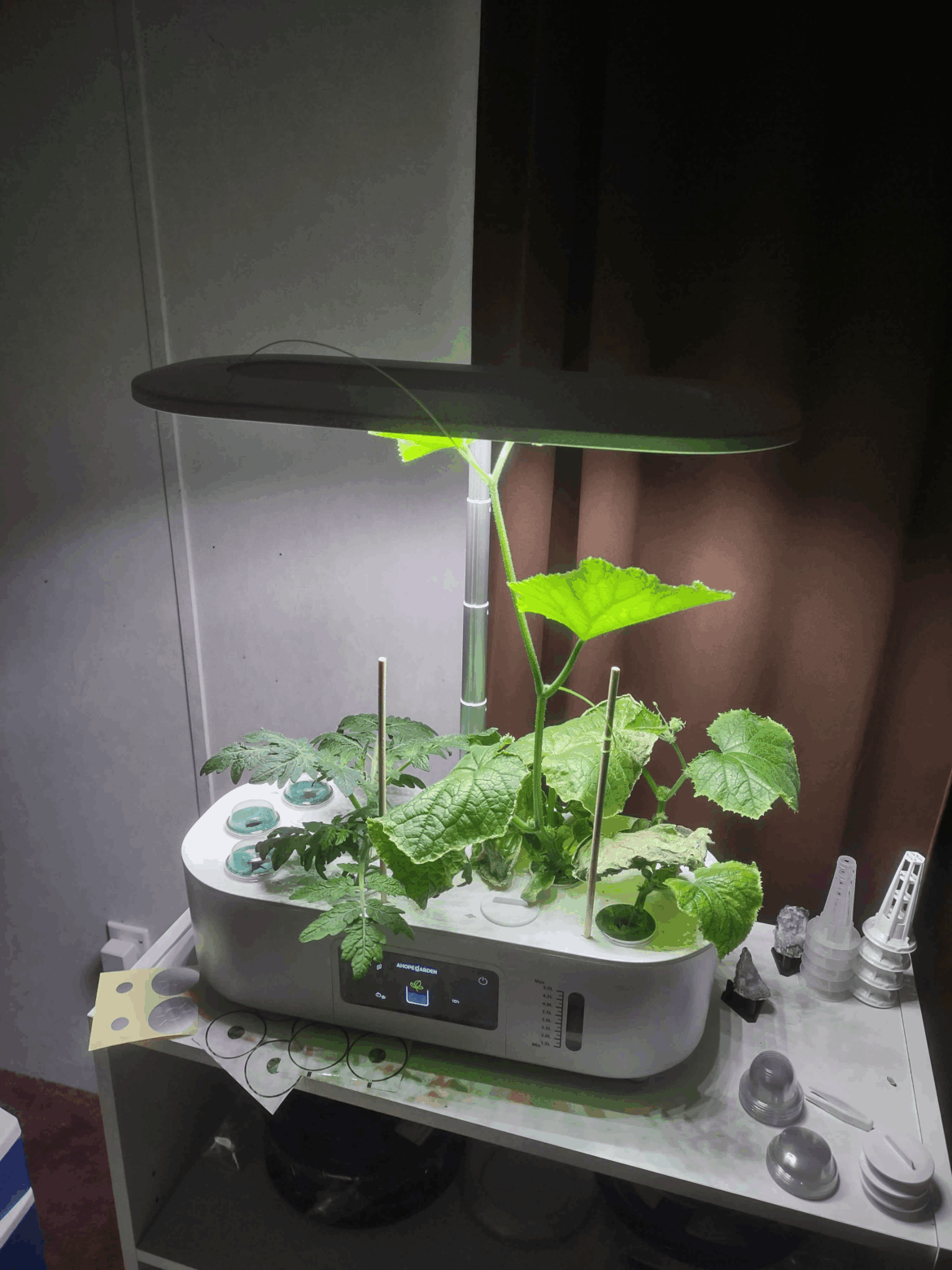 First time using a hydroponics system... Shouldn't have chosen Cucumbers.... Any ideas on what to do with them?