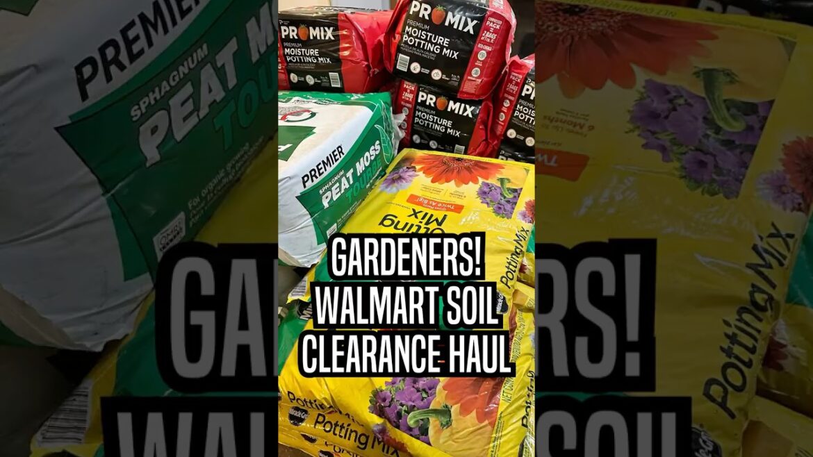 Gardeners! Walmart Soil Clearance Haul! #walmart #promix #peatmoss #miraclegro
