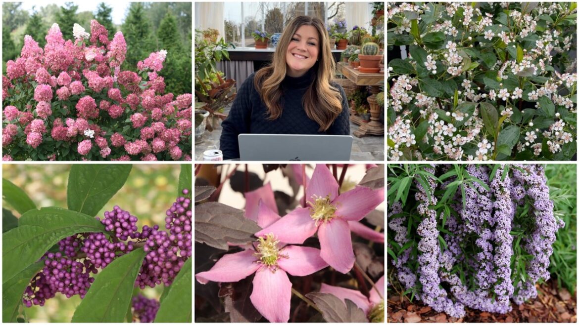 My 2026 Shrub Order! 🌿😍🌳 // Garden Answer