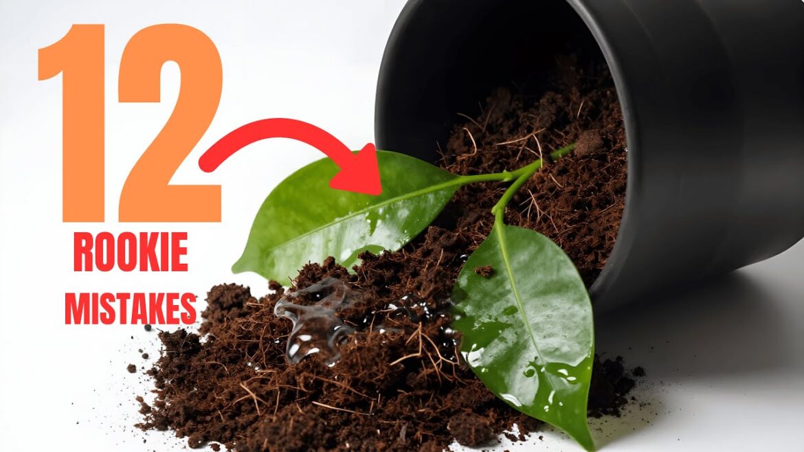 12 Container Gardening Mistakes I Made (Avoid These Beginner Fails!)