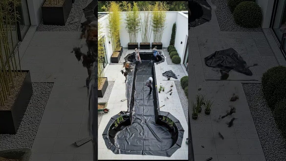 From Hole to Koi Paradise: Modern Patio Pond!