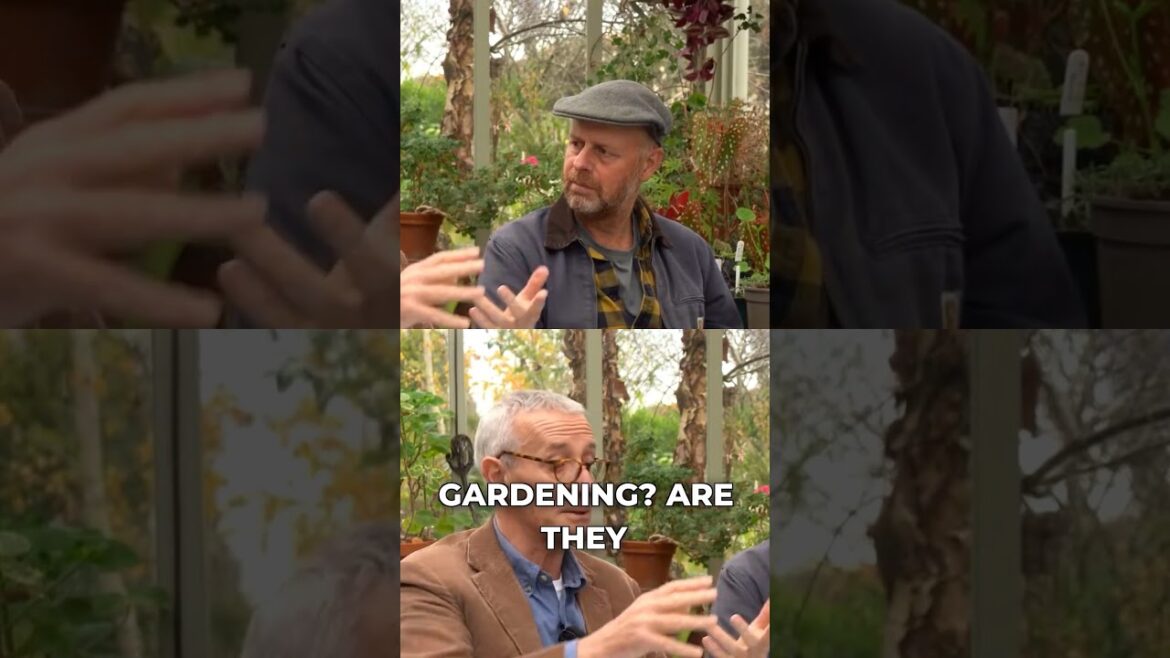 These 3 things decide your whole garden #gardendesign #landscaping #tips